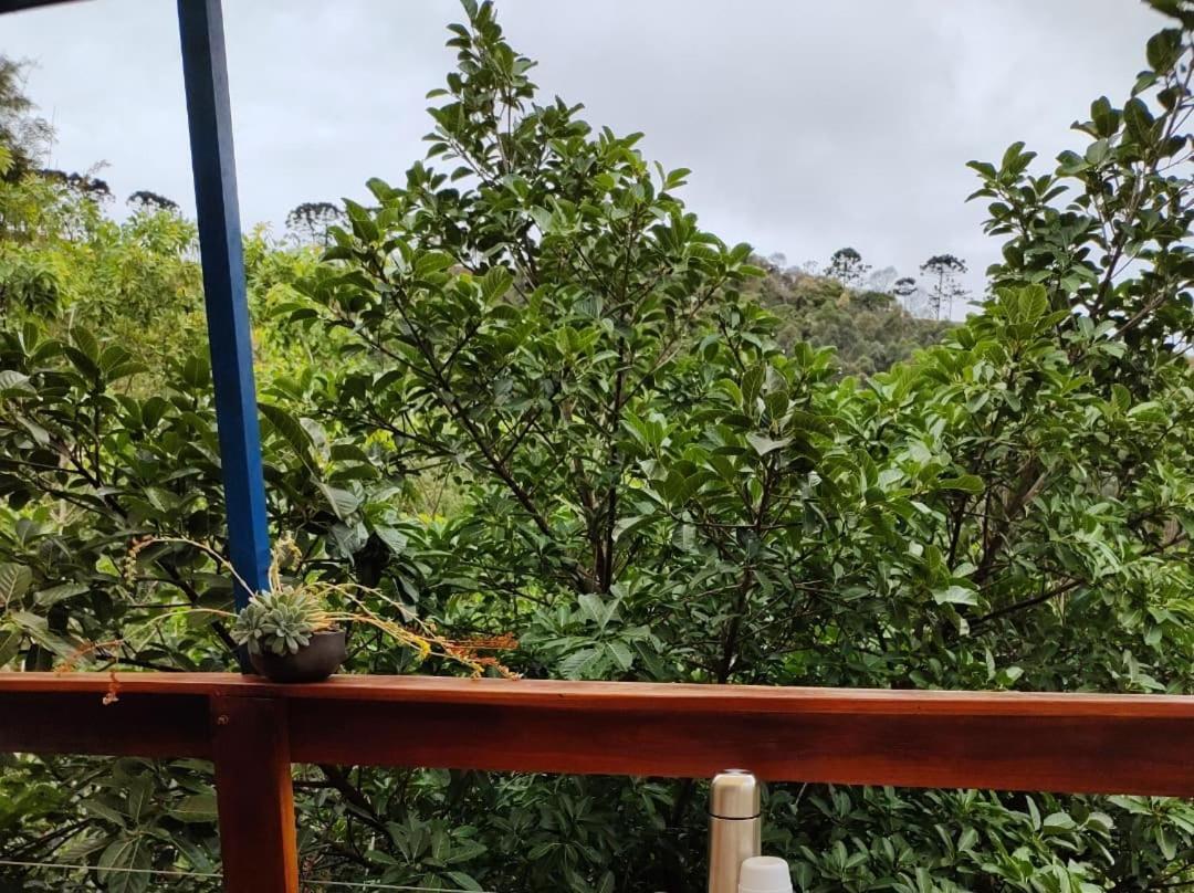 Chales Agua Azul Santo Antônio do Pinhal Eksteriør bilde